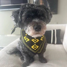 WINNIE