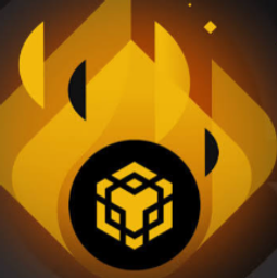 BNBURN