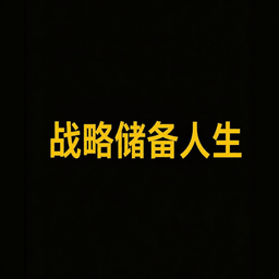 战略储备人生