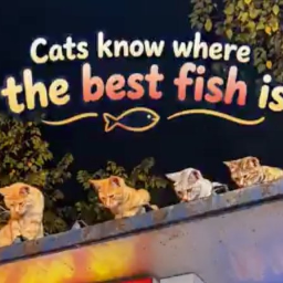 fourcats