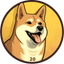 DOGE20