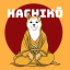 Hachi