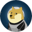 DOGE1