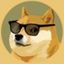 DOGE2.0