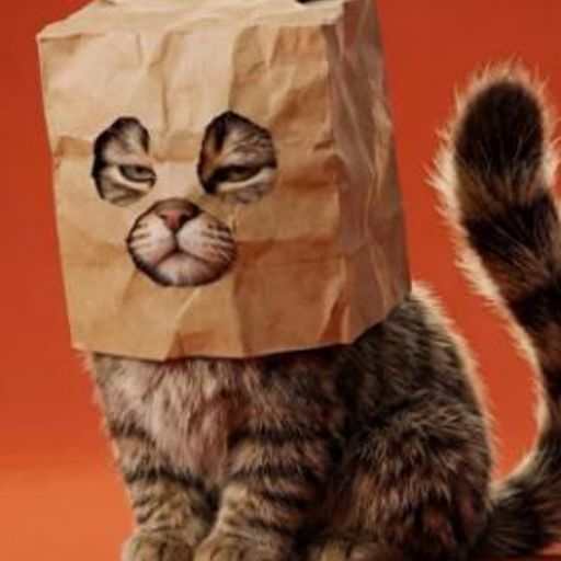 纸袋猫
