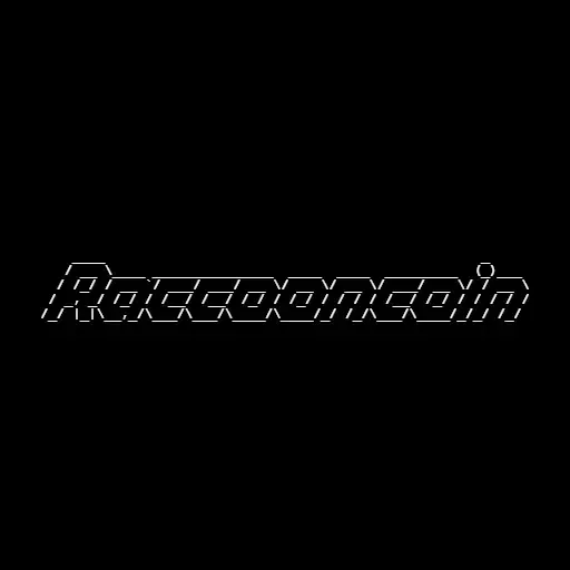 raccoon