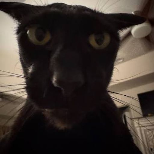 LAR