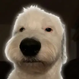 Dougy