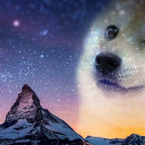 $PADDOG
