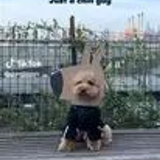 chilldog