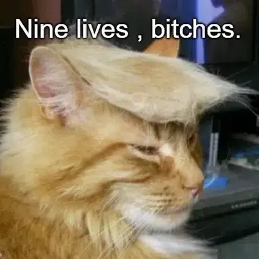 Catnald