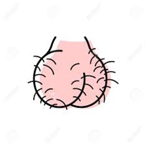 BALLS