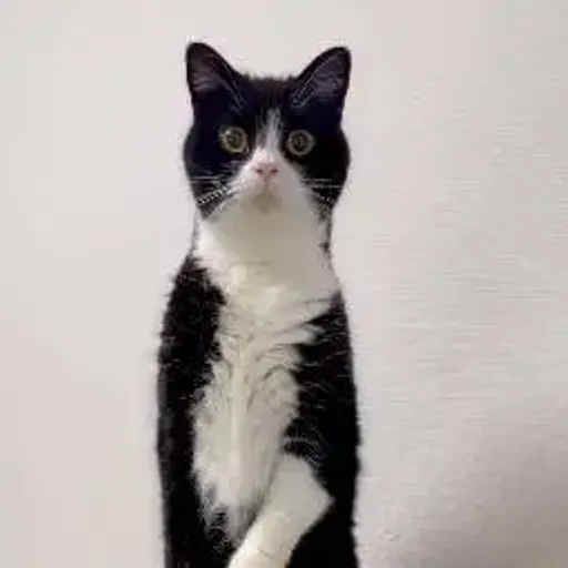 たろう