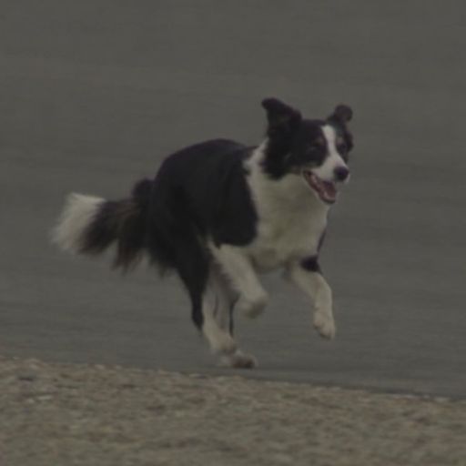 LeBark