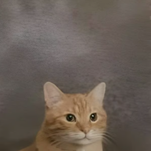 purrtrait
