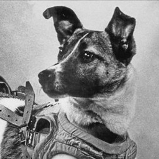 LAIKA