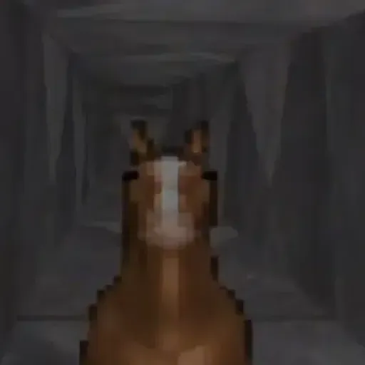 horse