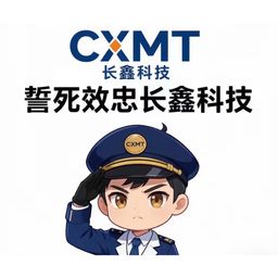 CXMT