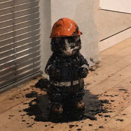 MICHOIL