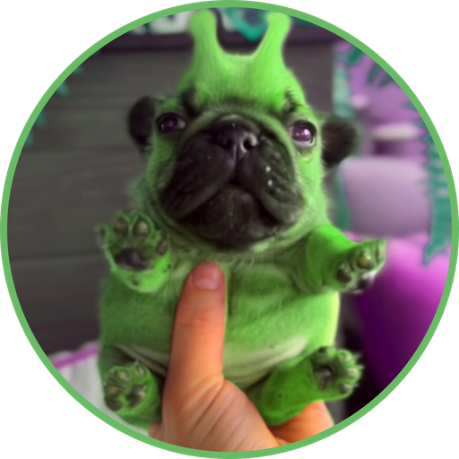 PUGGO