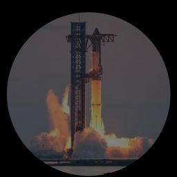 $Elon