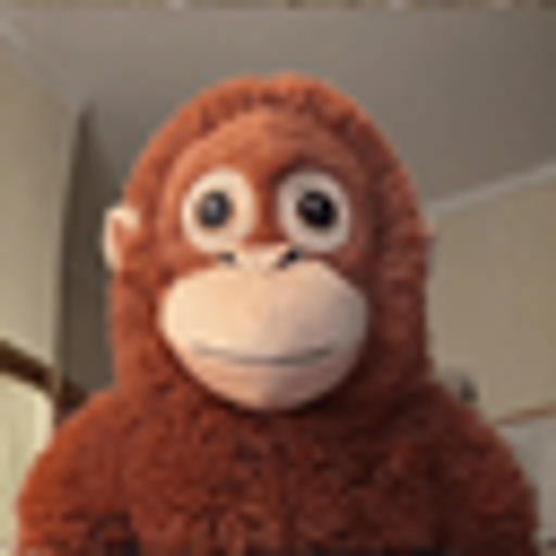 MONKEY