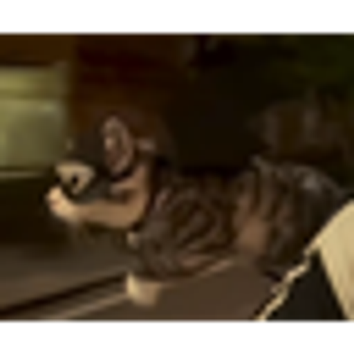 CATMAN