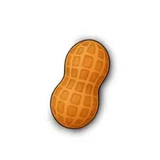 nut