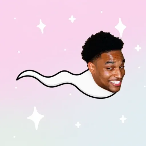 ANSEMEN