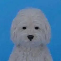 犬