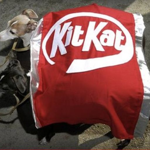 KITDOG