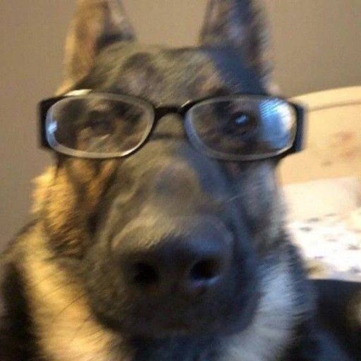 Doggie