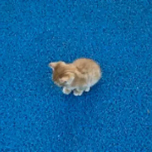 ᵐⁱⁿⁱ