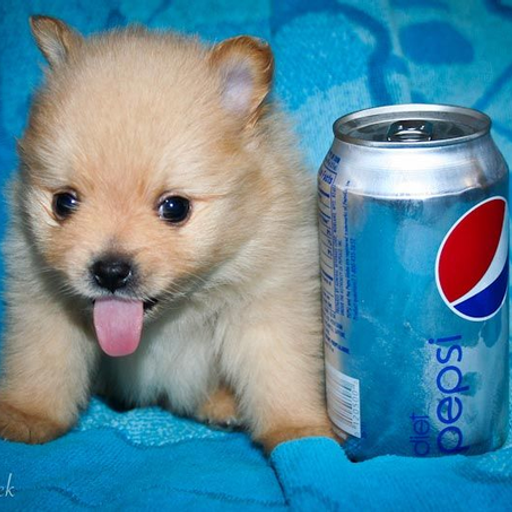 TONGUE