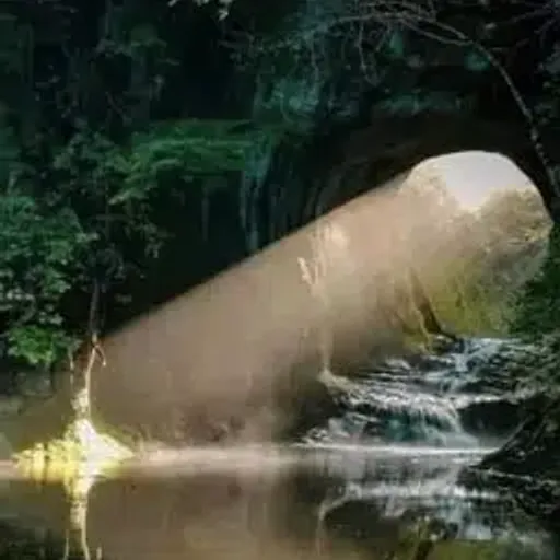 チンポ