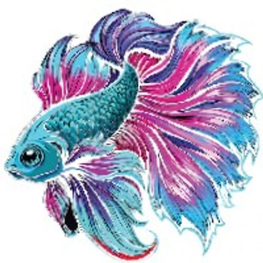 暹羅鬥魚