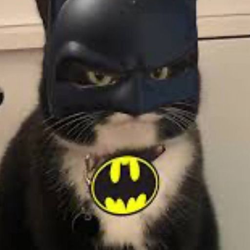 BATCAT