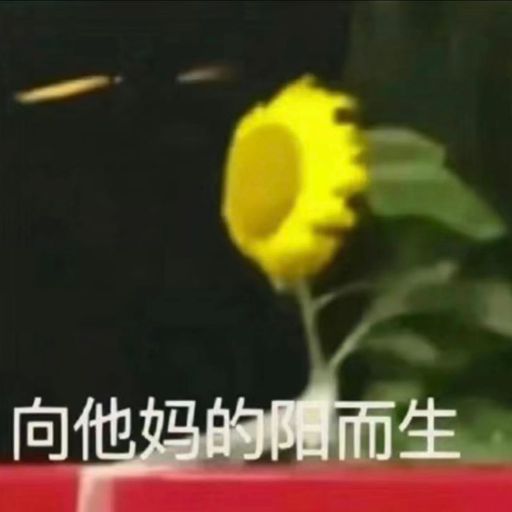 想躺平