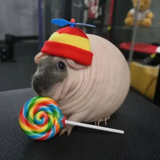 Pwiggy