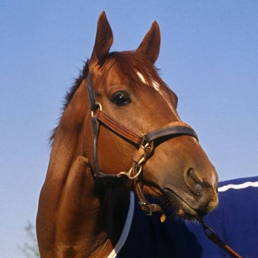 SECRETARIAT