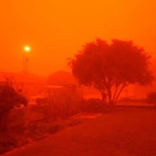 Apocalypse 