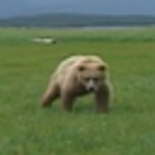 GRIZZLY
