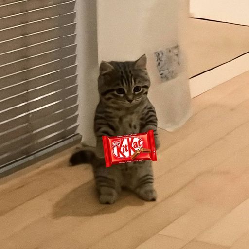 kmichi