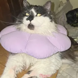 FIGERO
