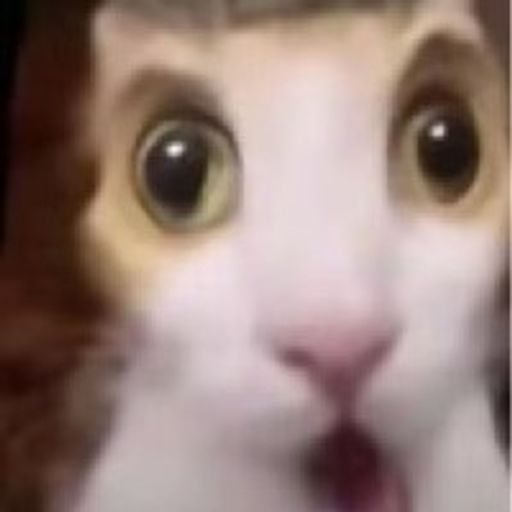 来财