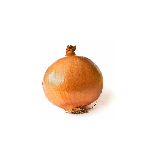 Onion