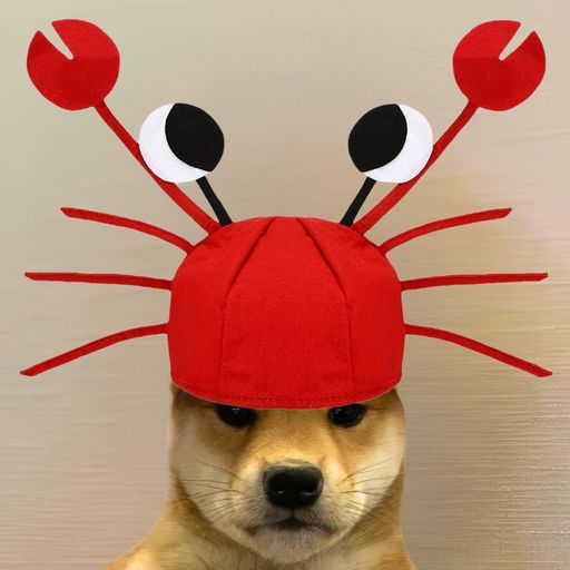 DOGWIFAI
