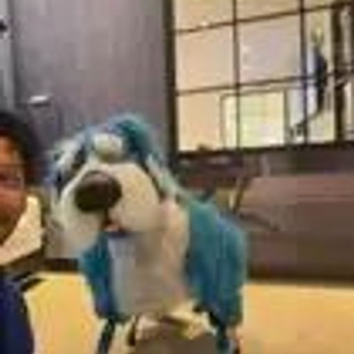 Bluey