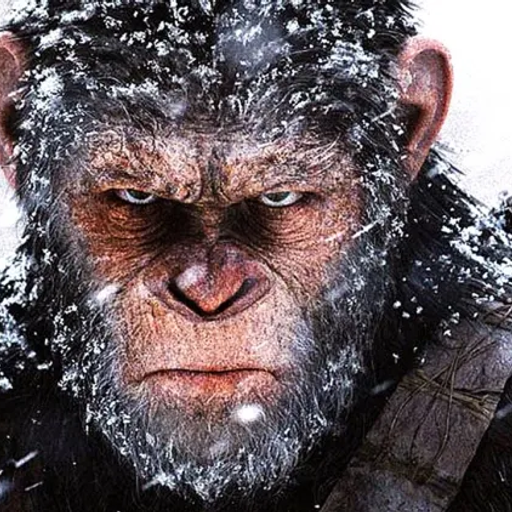 MonkeyWar