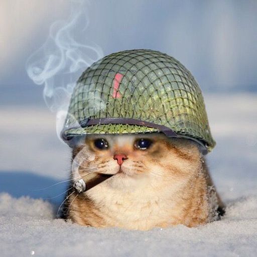 warkitty